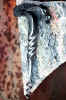 Corkscrew.jpg (63236 bytes)