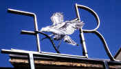 Snyder Sign.jpg (119711 bytes)
