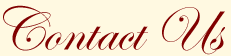 contact us.gif (1947 bytes)